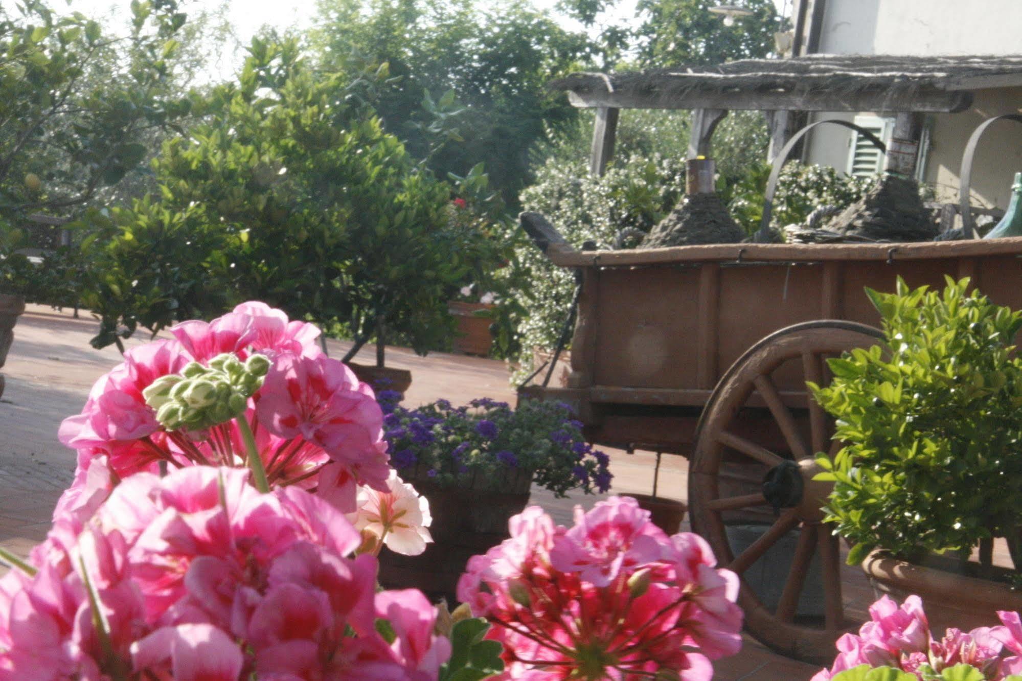 Locanda Le Boscarecce Castelfiorentino Exterior foto